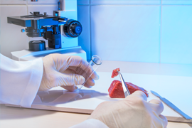 LABORATORIO ANALISI ALIMENTI